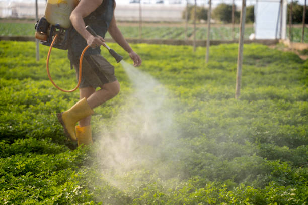 Reliable La Plata, MO Pest Control Solutions
