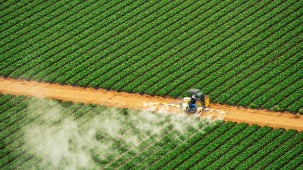 Best Pest Removal Services  in La Plata, MO