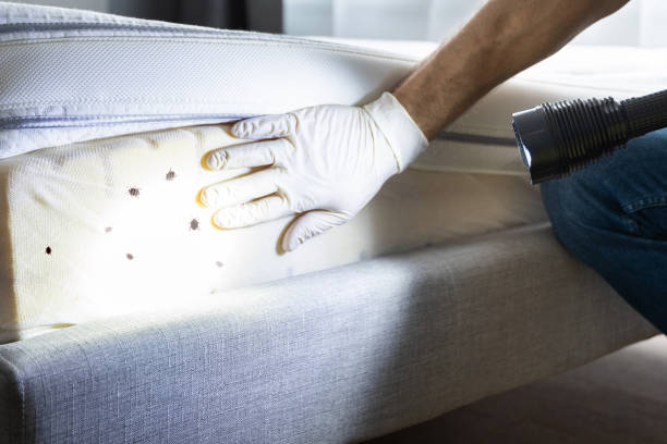 Best Pest Control Near Me  in La Plata, MO