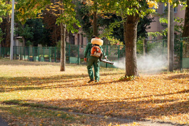 Best Residential Pest Control  in La Plata, MO