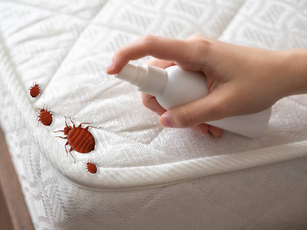 Best Bed Bug Extermination  in La Plata, MO
