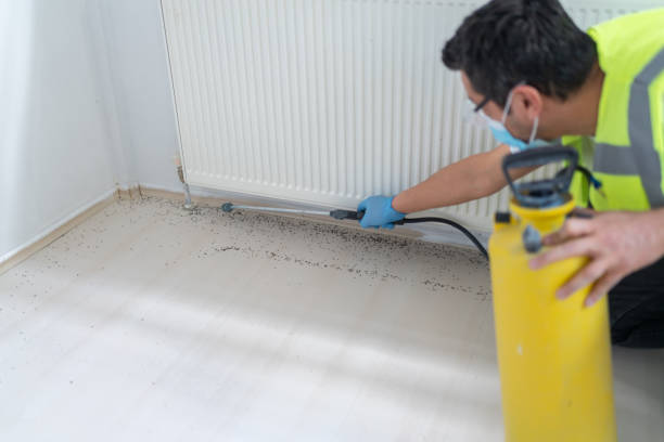 Pest Control Cost in La Plata, MO