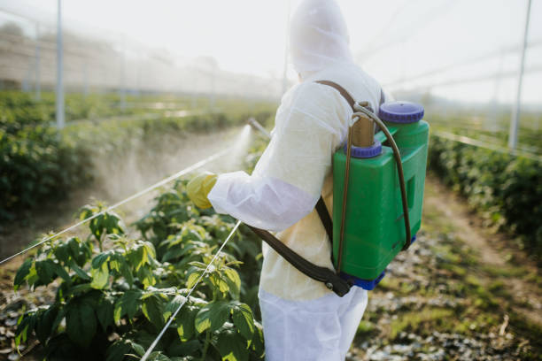 Best Ant Control Services  in La Plata, MO